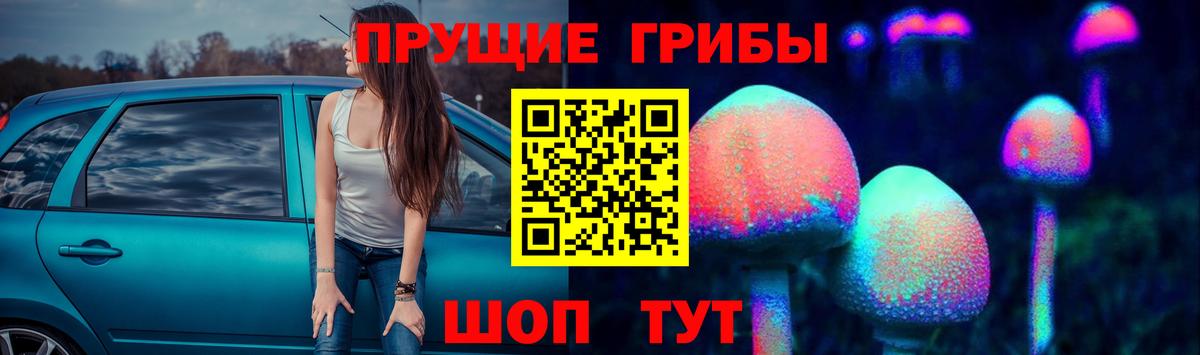Псилоцибиновые грибы ЛСД  Вход с VPN  Щёлково 